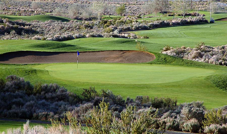 view of golf course green with bunker